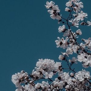 COPY - COPY - COPY - COPY - COPY - 2